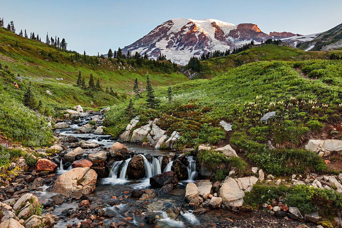 160812-6294-5DS- R rc sharp v copy.jpg