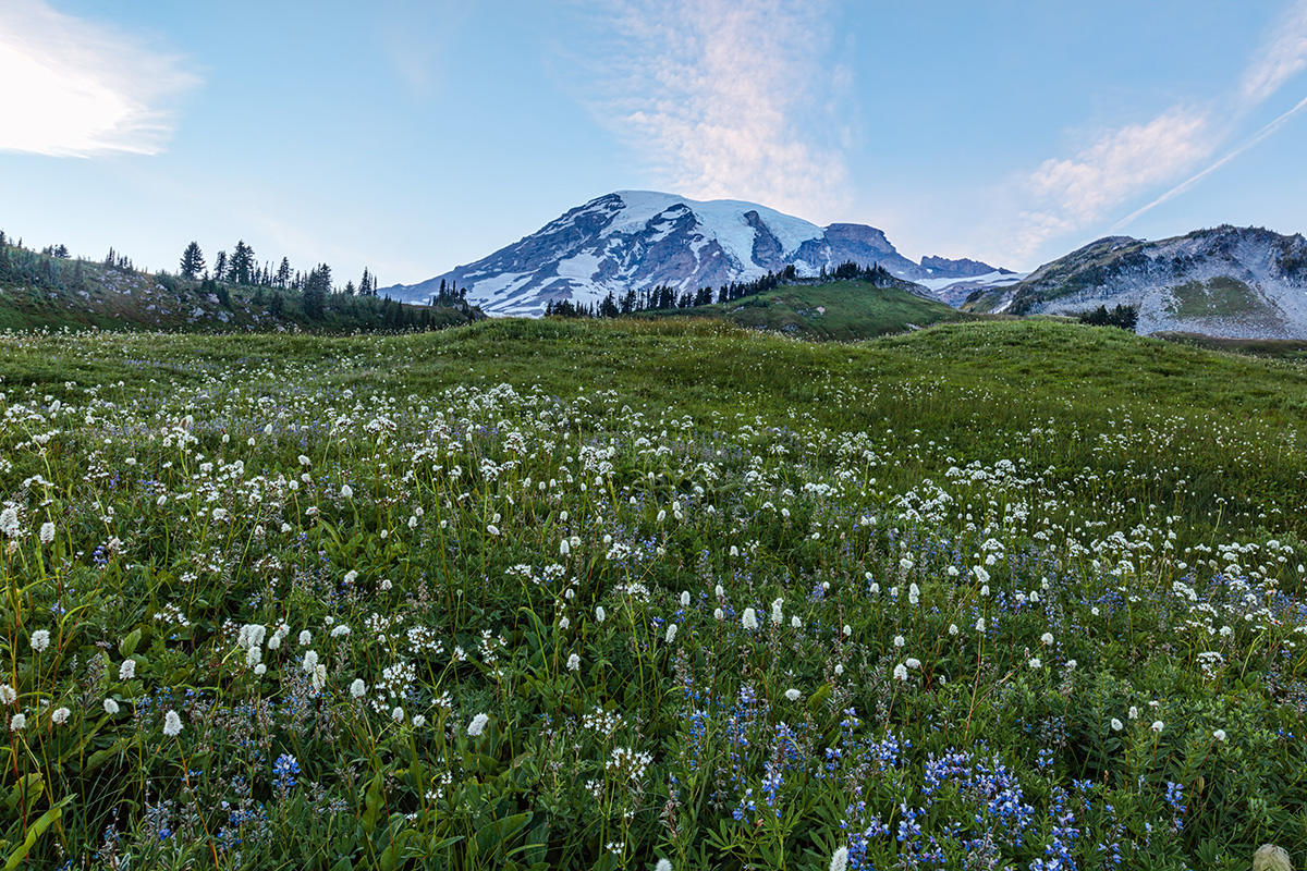 160812-6453-5DS- R tp+cp copy.jpg