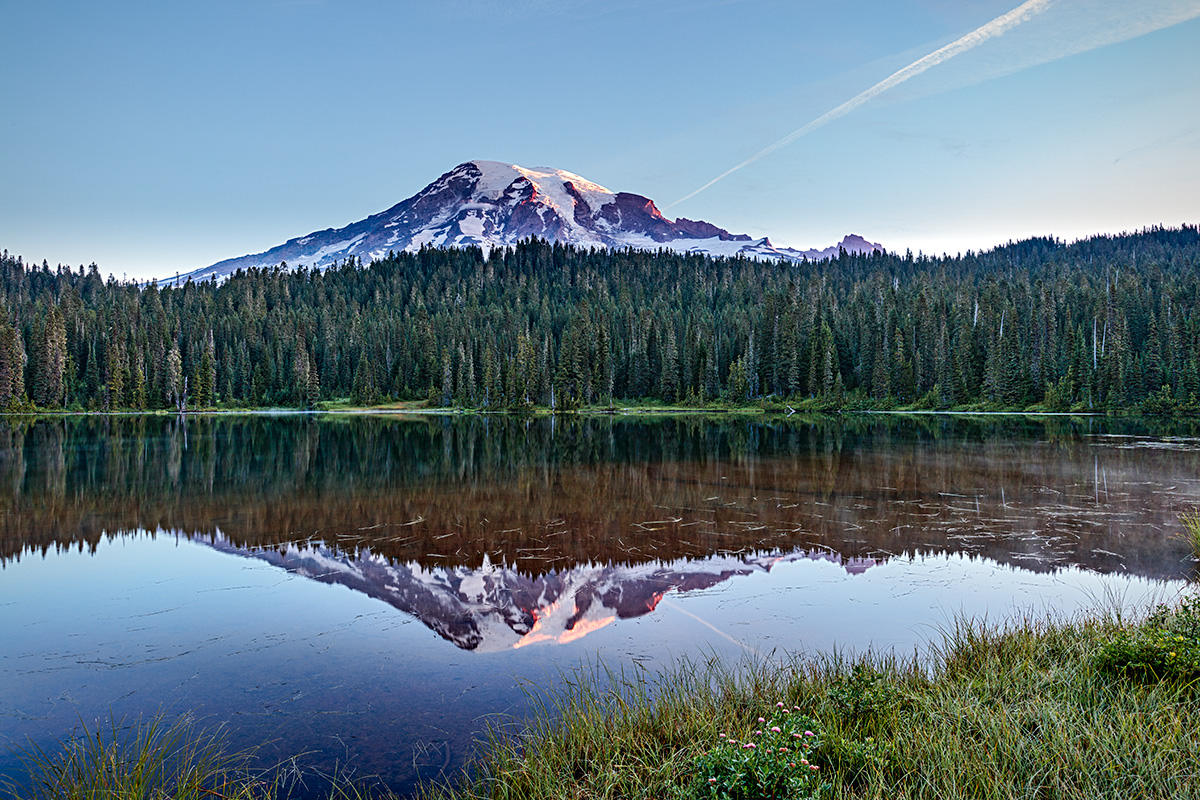 160813-6496-5DS- R tp-sharp-v.jpg