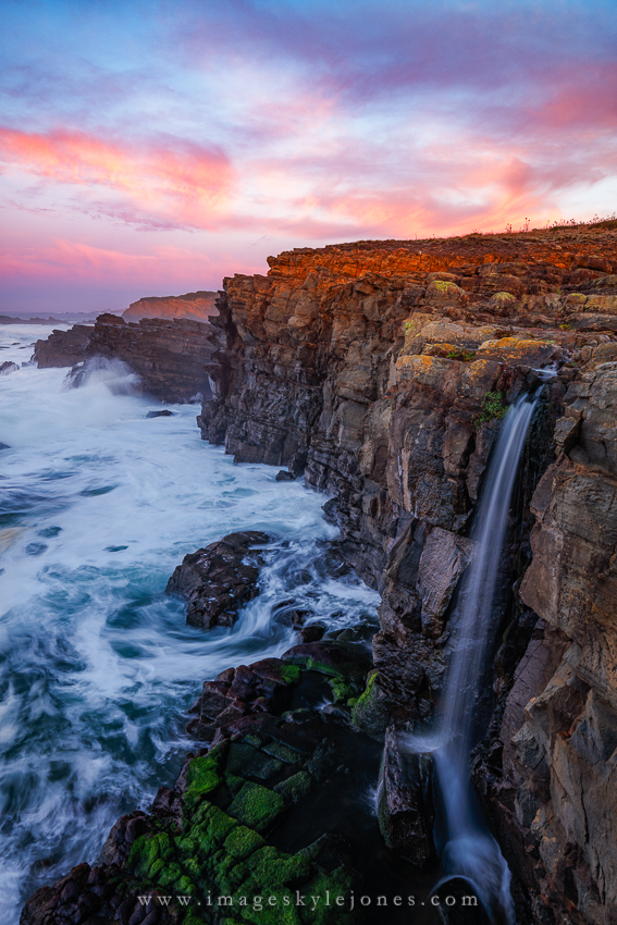 1706 Salt Point Portrait_850.jpg