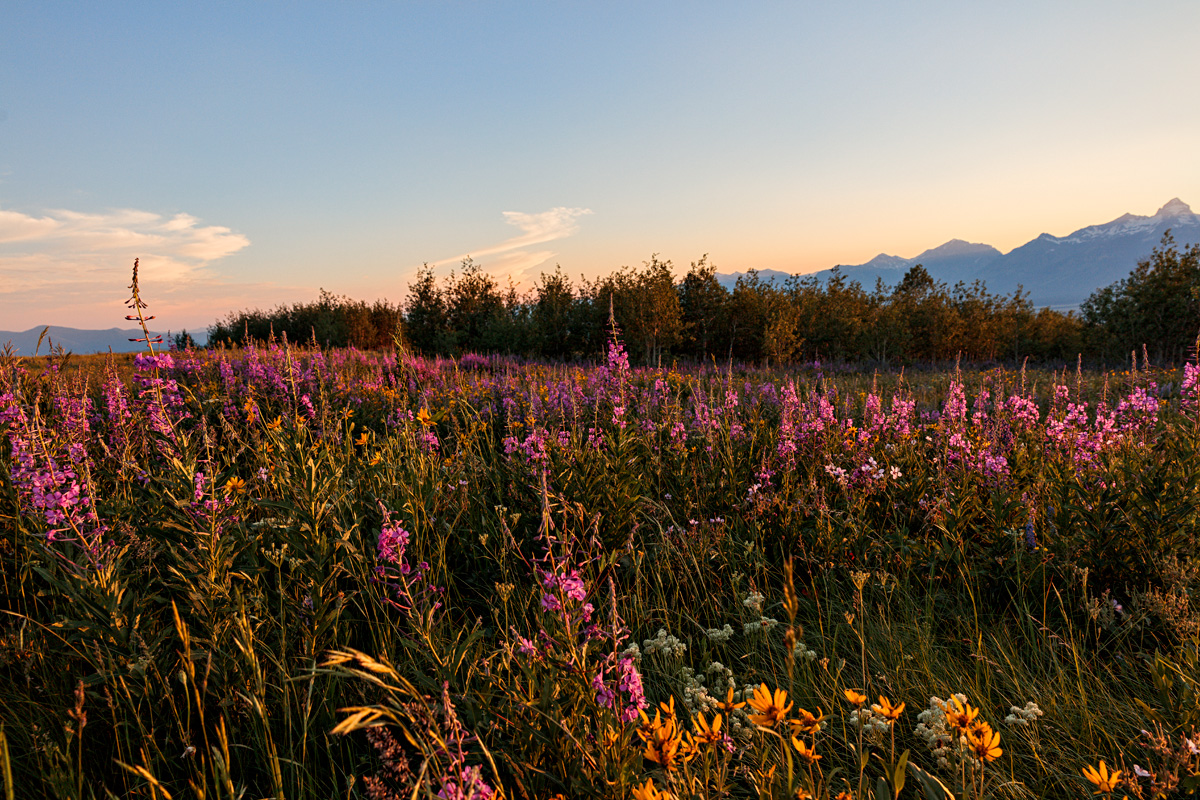 170719-2351-5DS R BW SHARP V copy.jpg