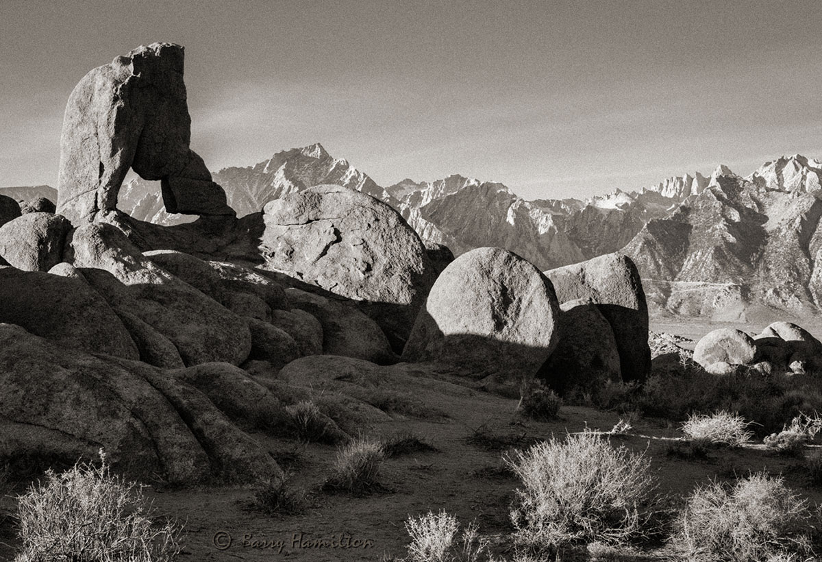 171215_BH_4161bw.jpg