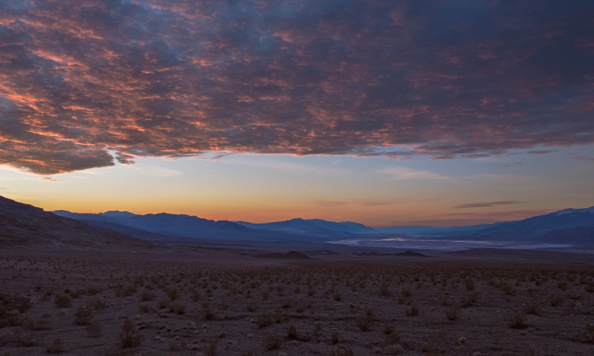17240_FUJB9655-ACR.jpg