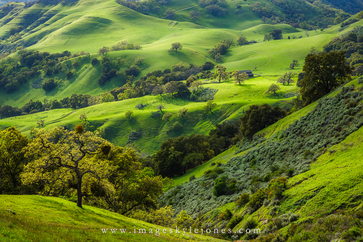 1738 Sunol Hills_1200.jpg
