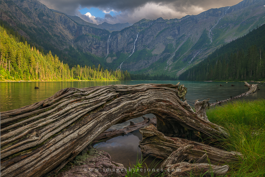 1778 Avalanche Lake Log_850.jpg