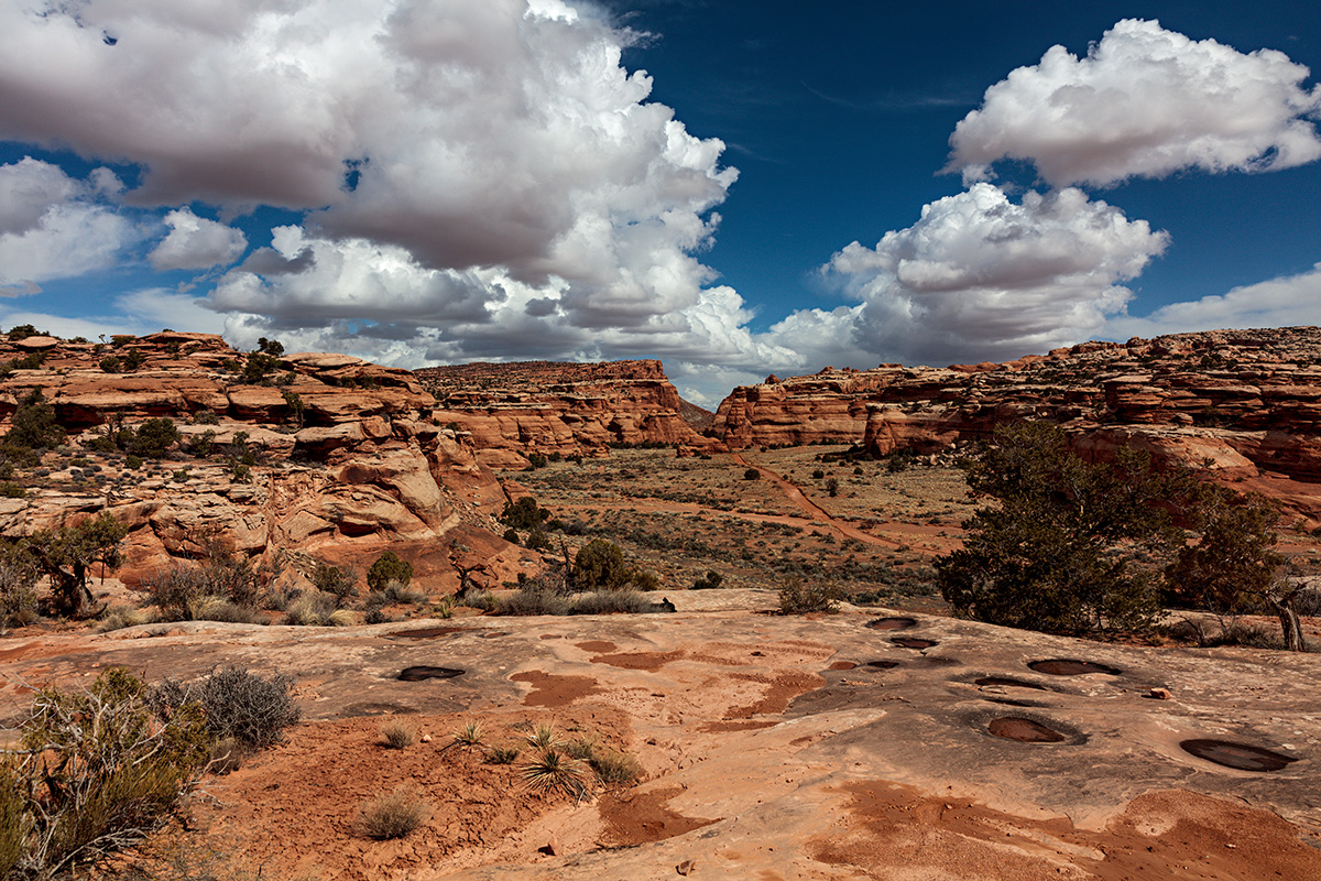 180315-4539-5DS R.jpg