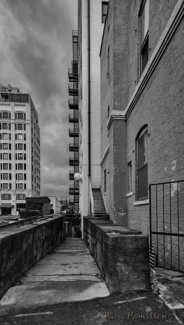 180422_BH_5067bw.jpg