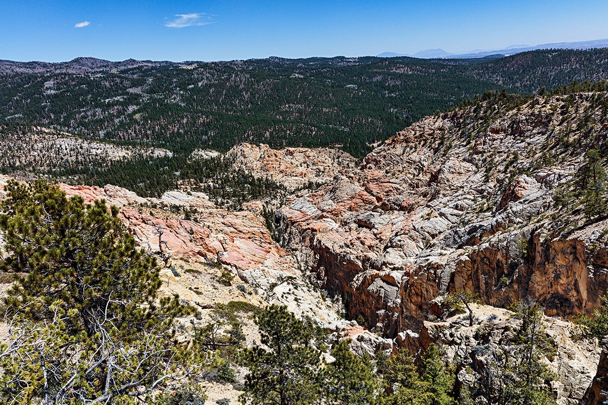 180508-5505-5DS R.jpg