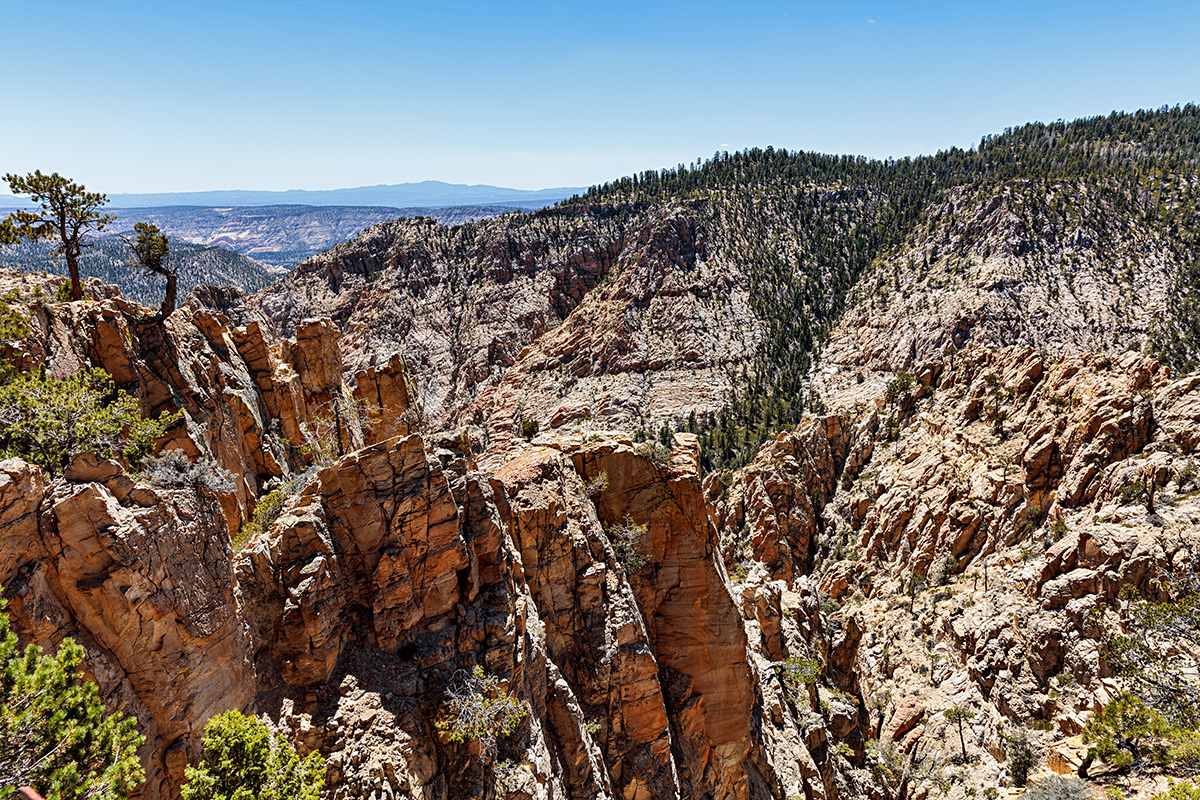 180508-5511-5DS R.jpg