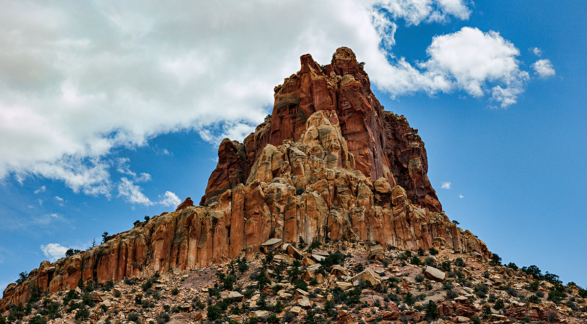 180511-6148-5DS R crop.jpg