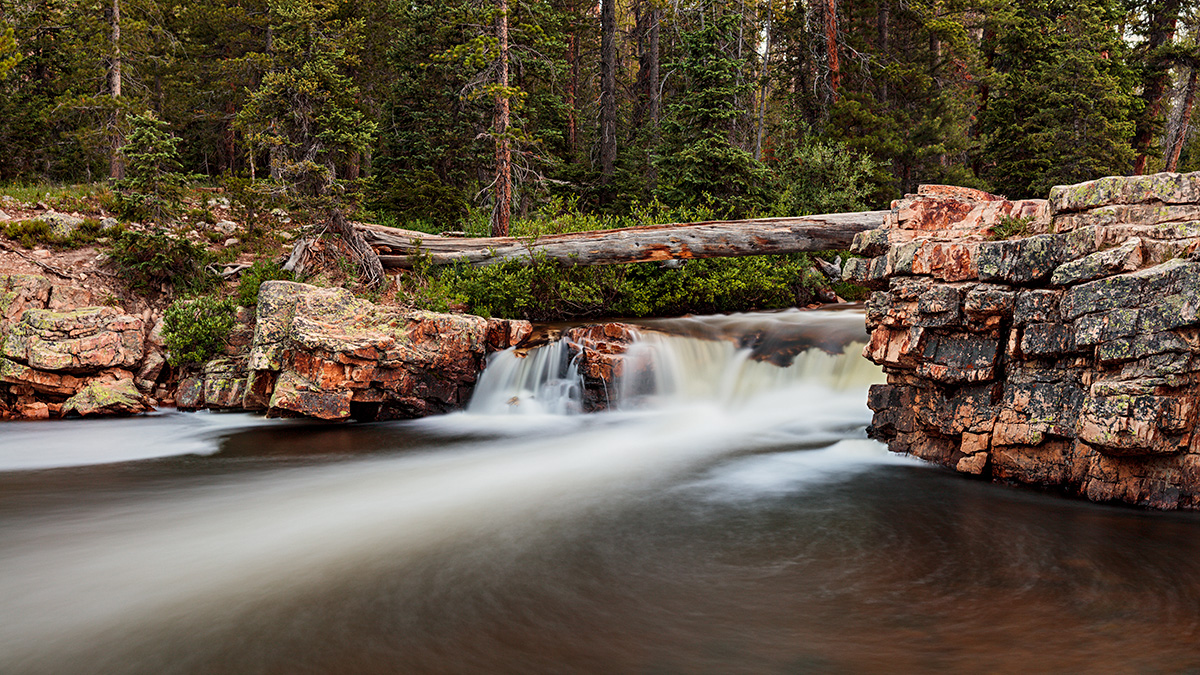 180702-7214-5DS RD.jpg