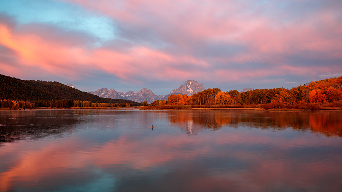 180924-8427-5DS R.jpg