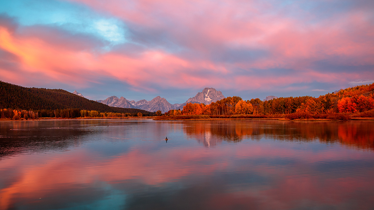 180924-8427-5DS R studio cc2.jpg