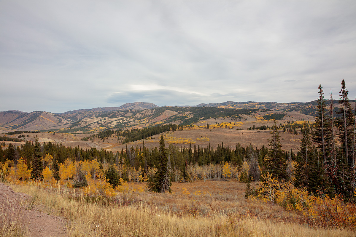 180929-9276-5DS R.jpg
