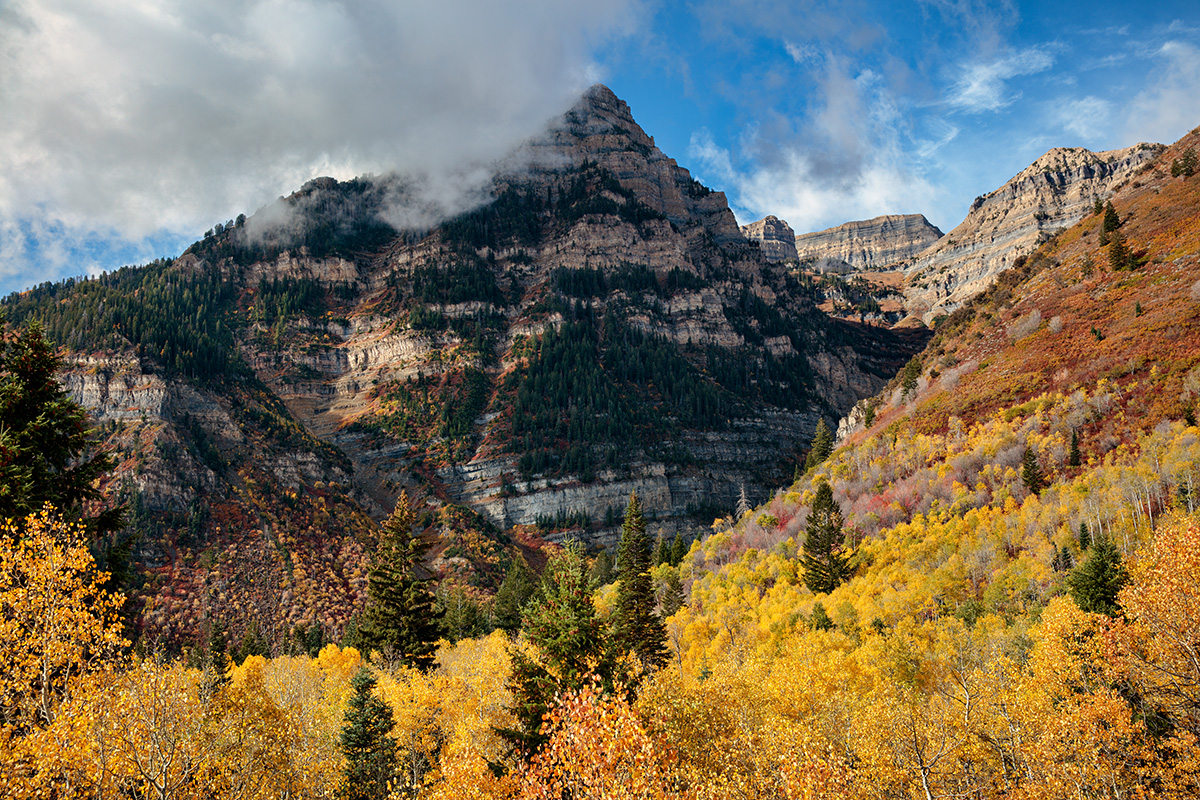 181003-9145-5DS R.jpg