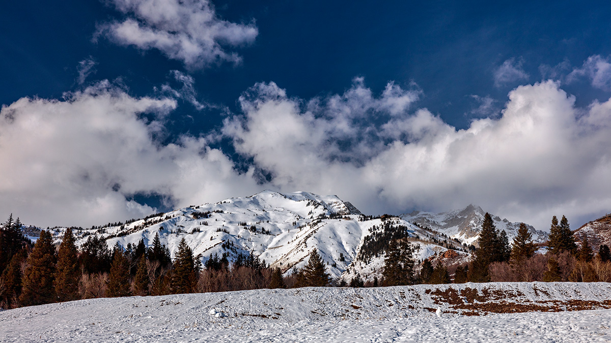 181219-9355-5DS R.jpg