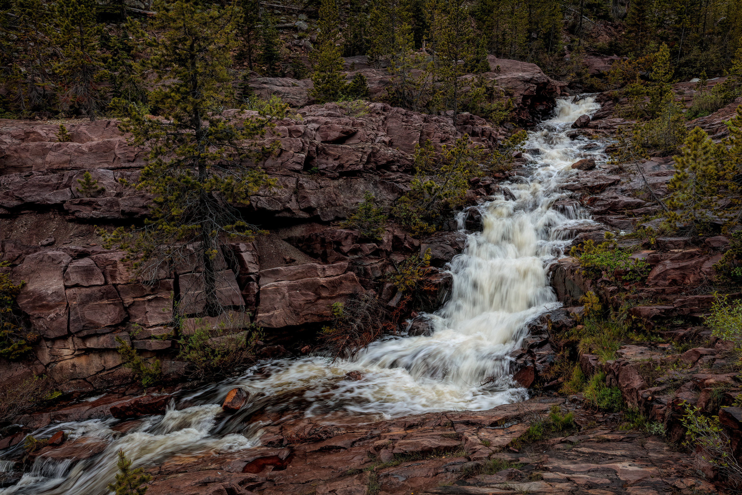 190630-10678-5DS R-CR2_DxO_DeepPRIME.jpg