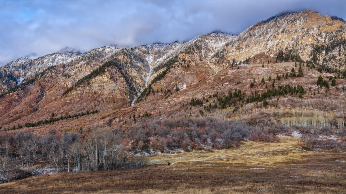 191020-11889-5DS R a1 crop copy.jpg