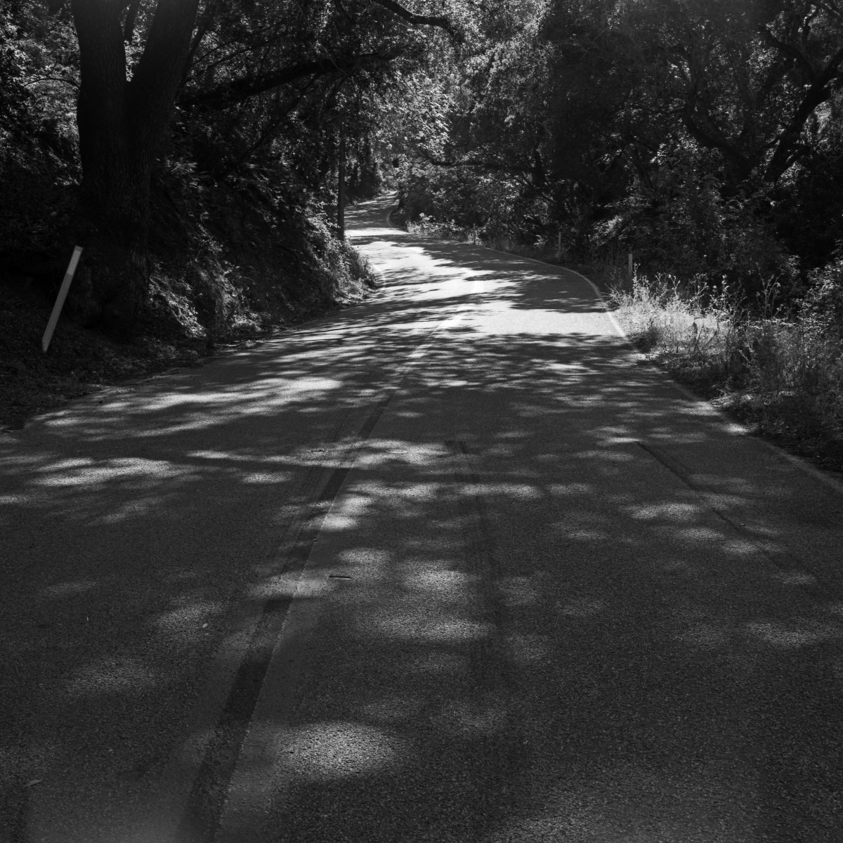 19208547838_3f21499328_k.jpg