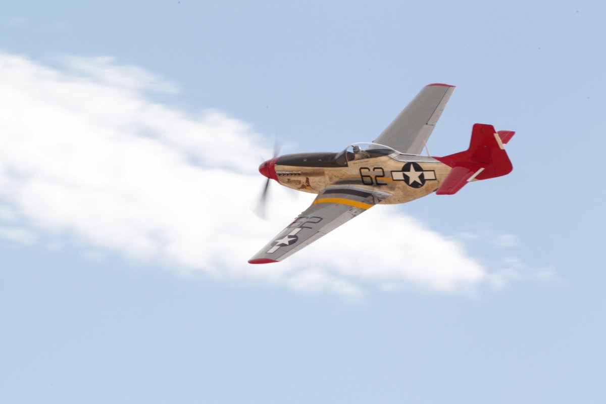 1D4_3699_180915w.JPG