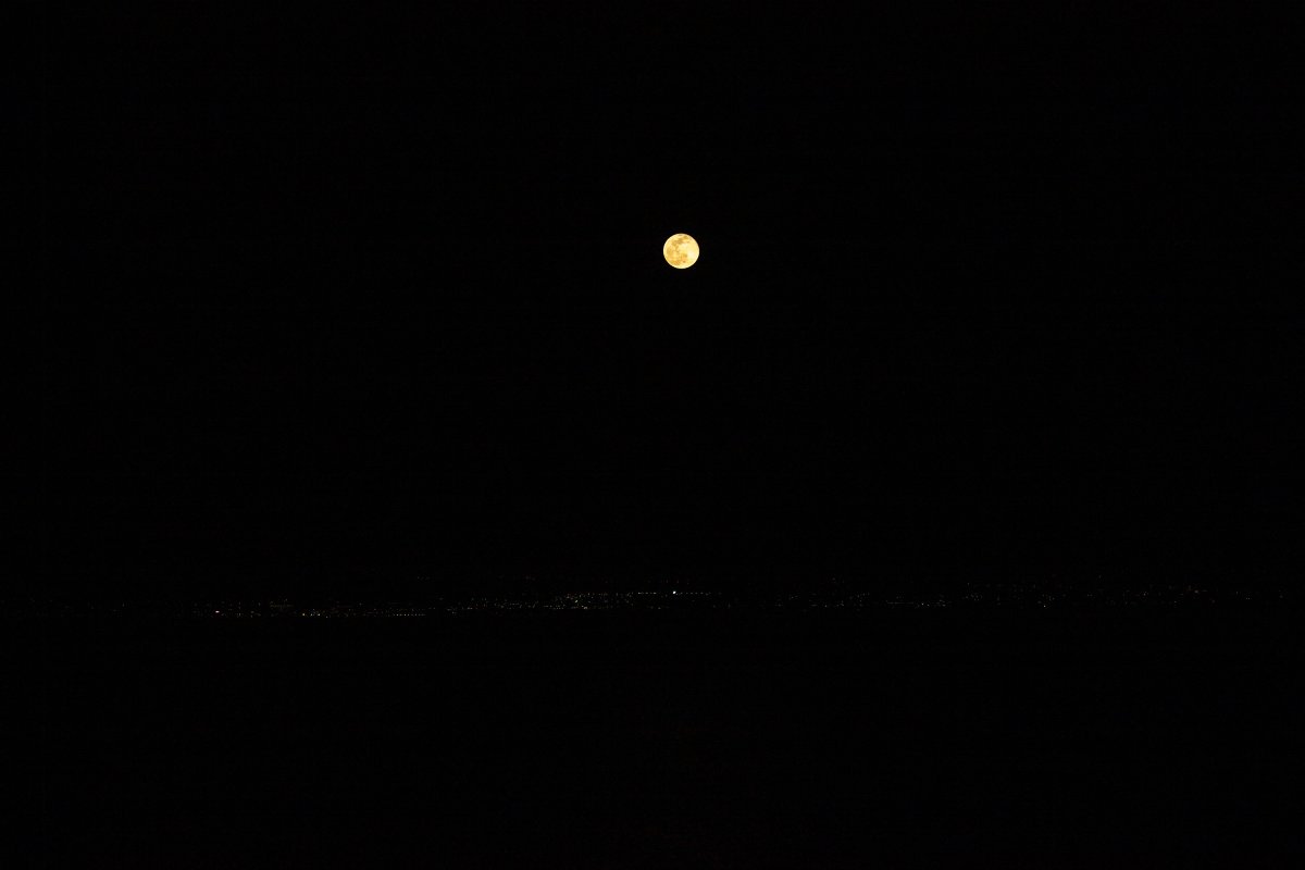 200209-12382-5DS R sooc 2.jpg