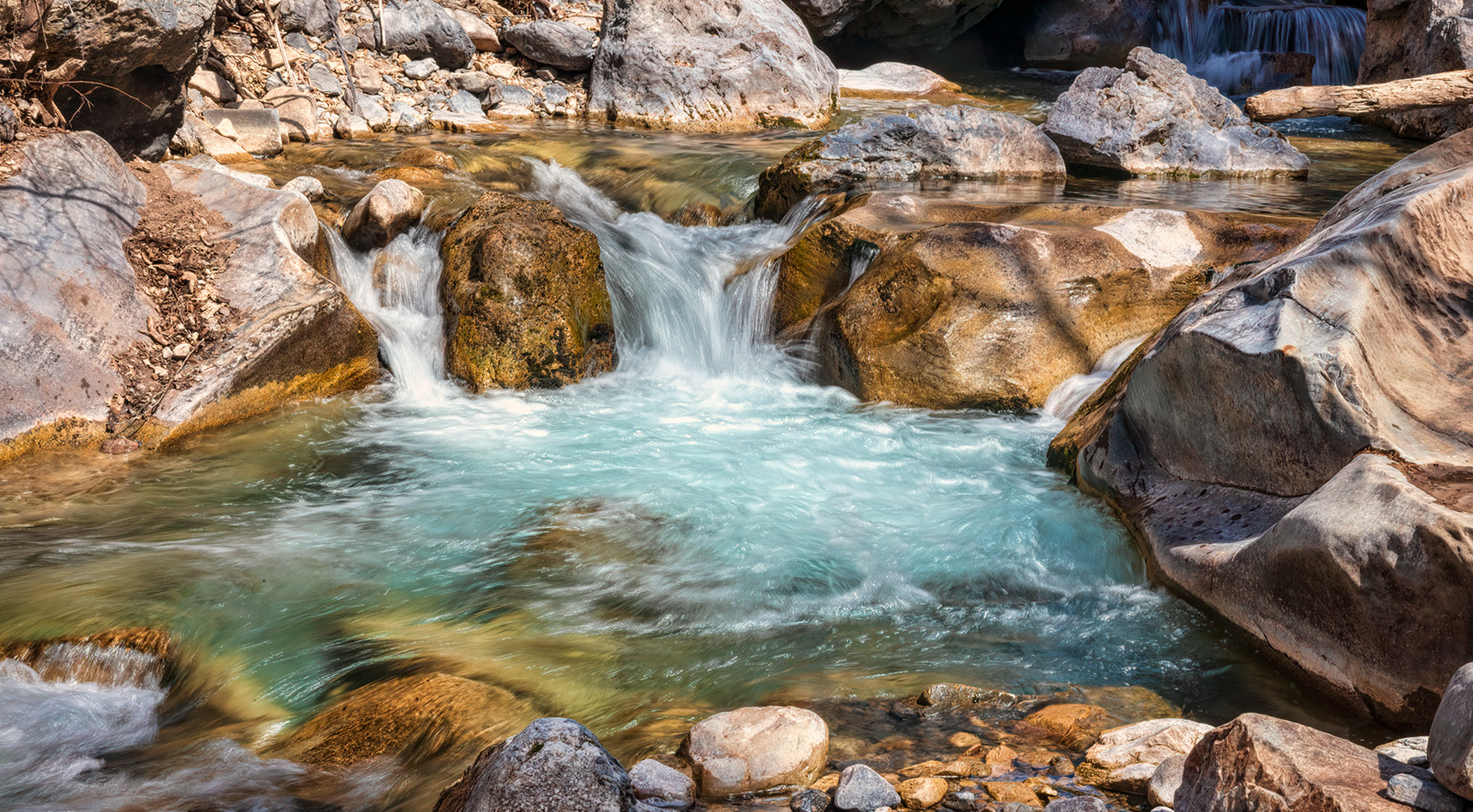 200331-12416-5DS R.jpg