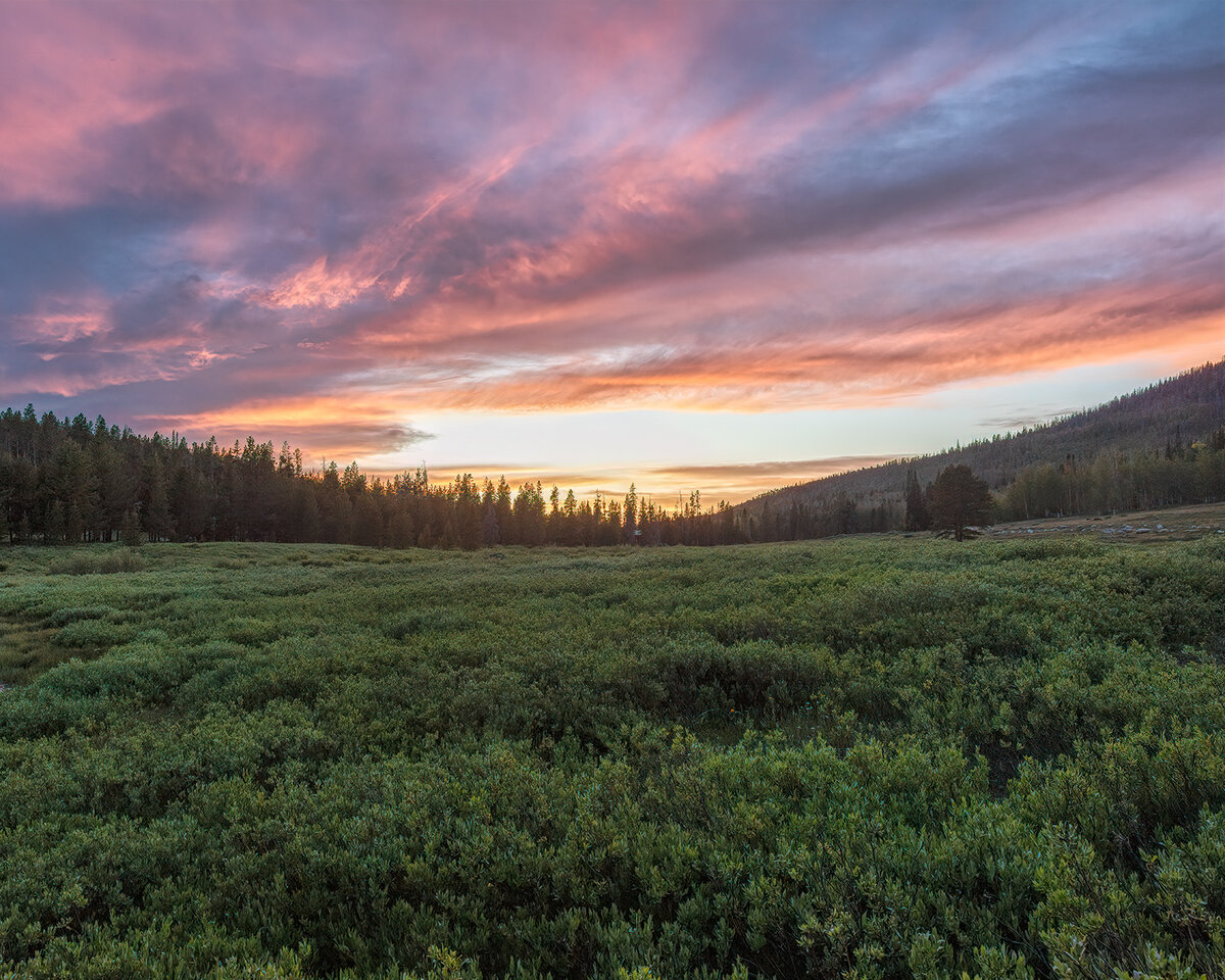 200625-13825-5DS R 5x4.jpg