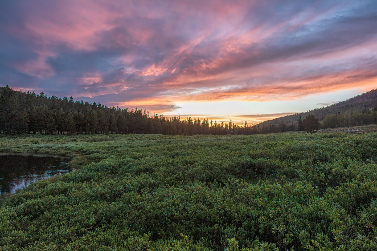 200625-13825-5DS R.jpg