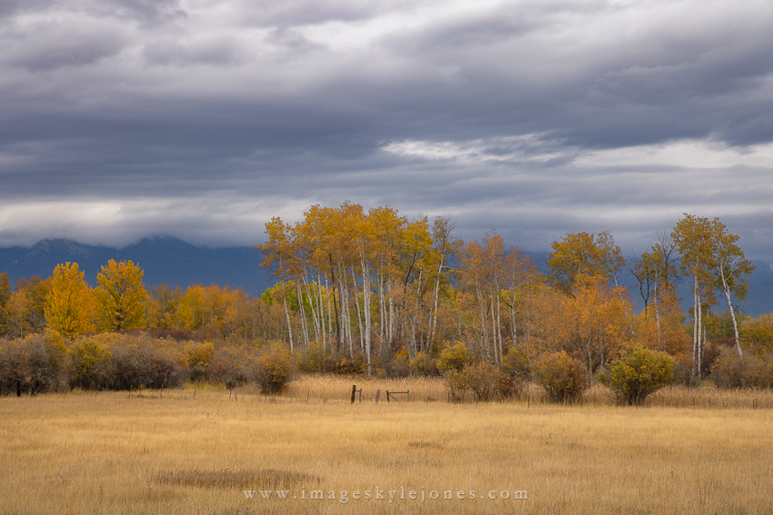 2007 Kalispell Autumn_850.jpg