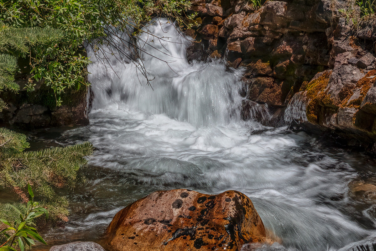 200709-13786-5DS R crop.jpg