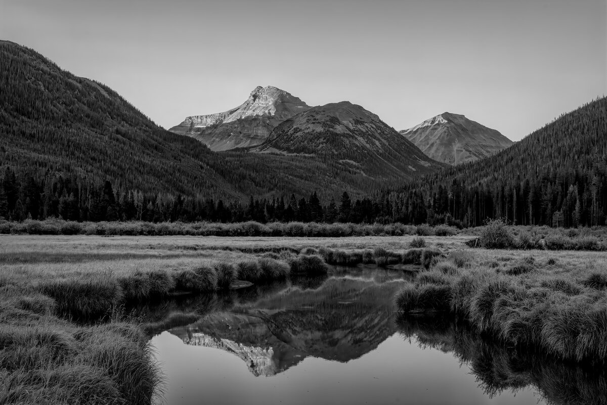 200810-14120-5DS R b&w.jpg