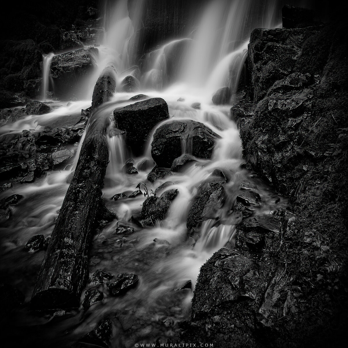 2009.04.05 - Fairy Falls B&W.jpg