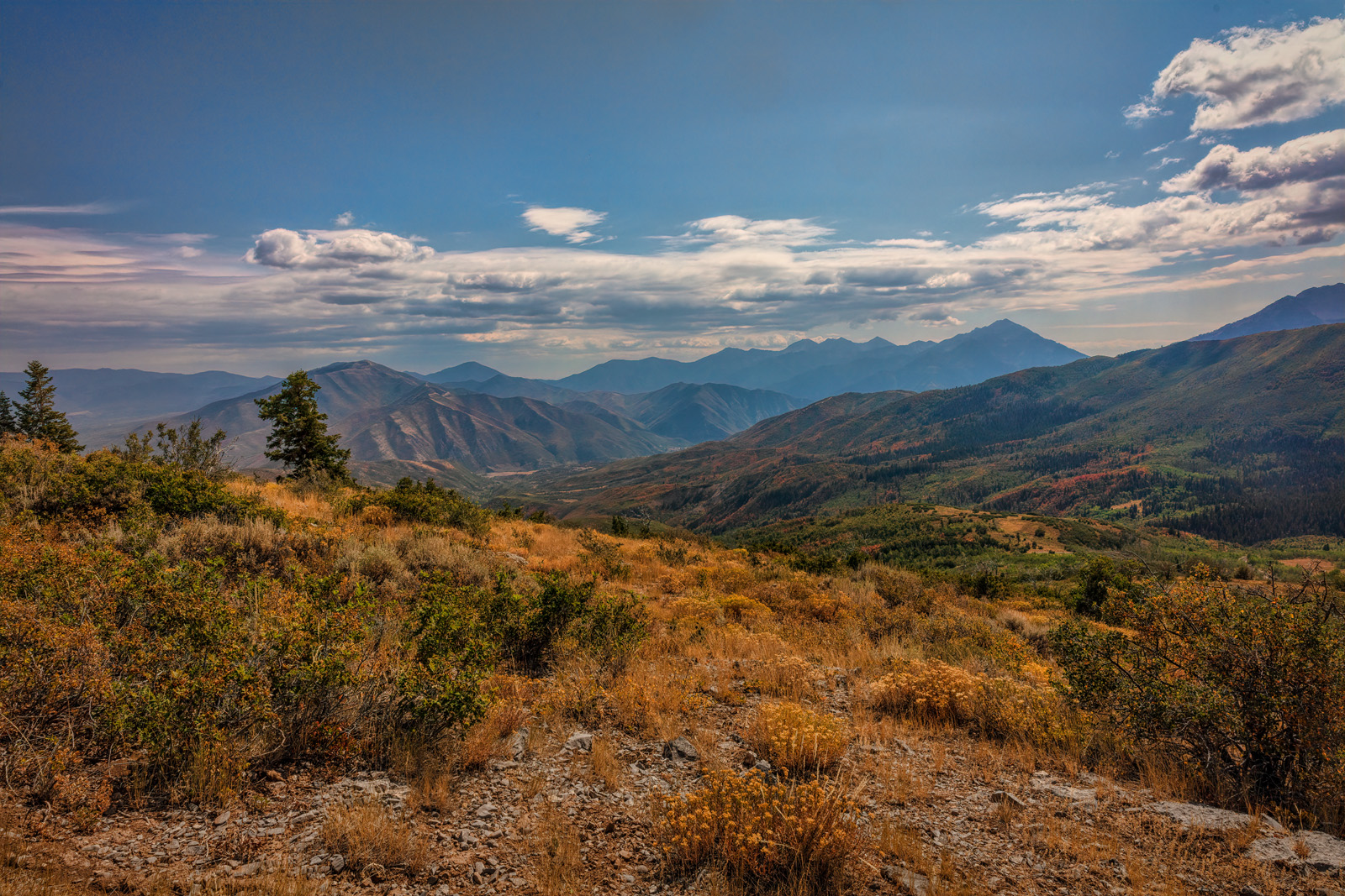 200910-14136-5DS R.jpg