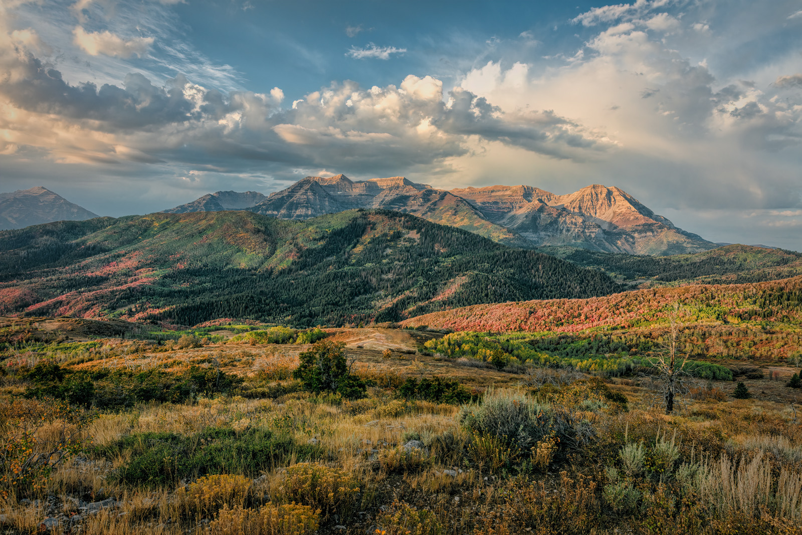 200922-14333-5DS R - Copy.jpg