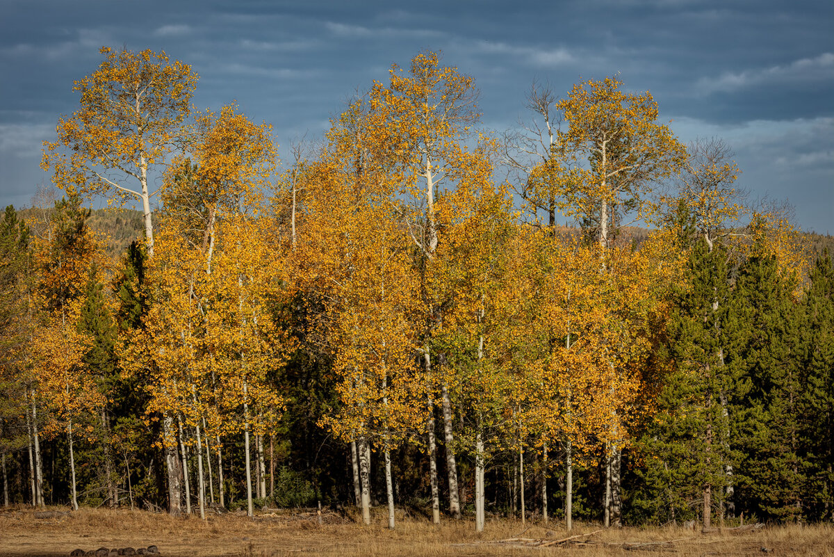 200926-14442-5DS R.jpg
