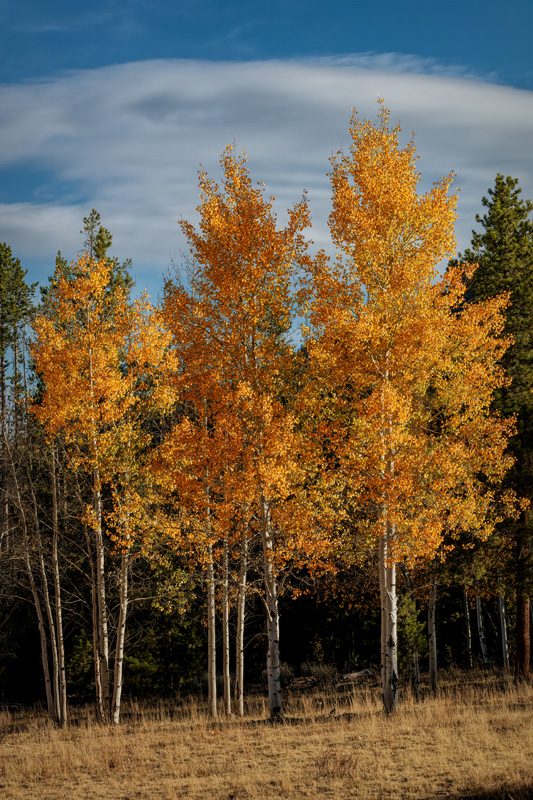200926-14446-5DS R.jpg