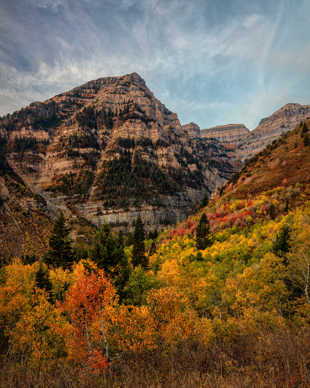 201002-14521-5DS R - Copy.jpg