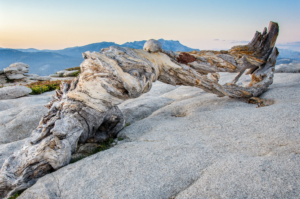 20140601-JEC_5078-Edit.jpg