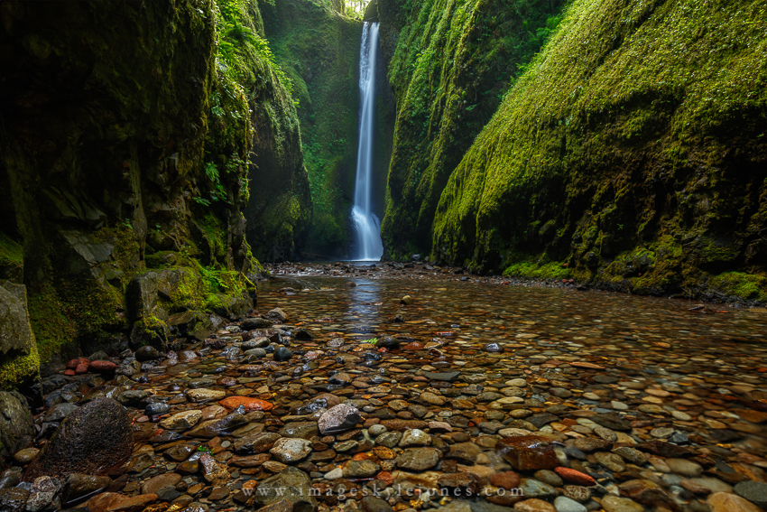 2018 Oneonta Falls Landscape_850.jpg