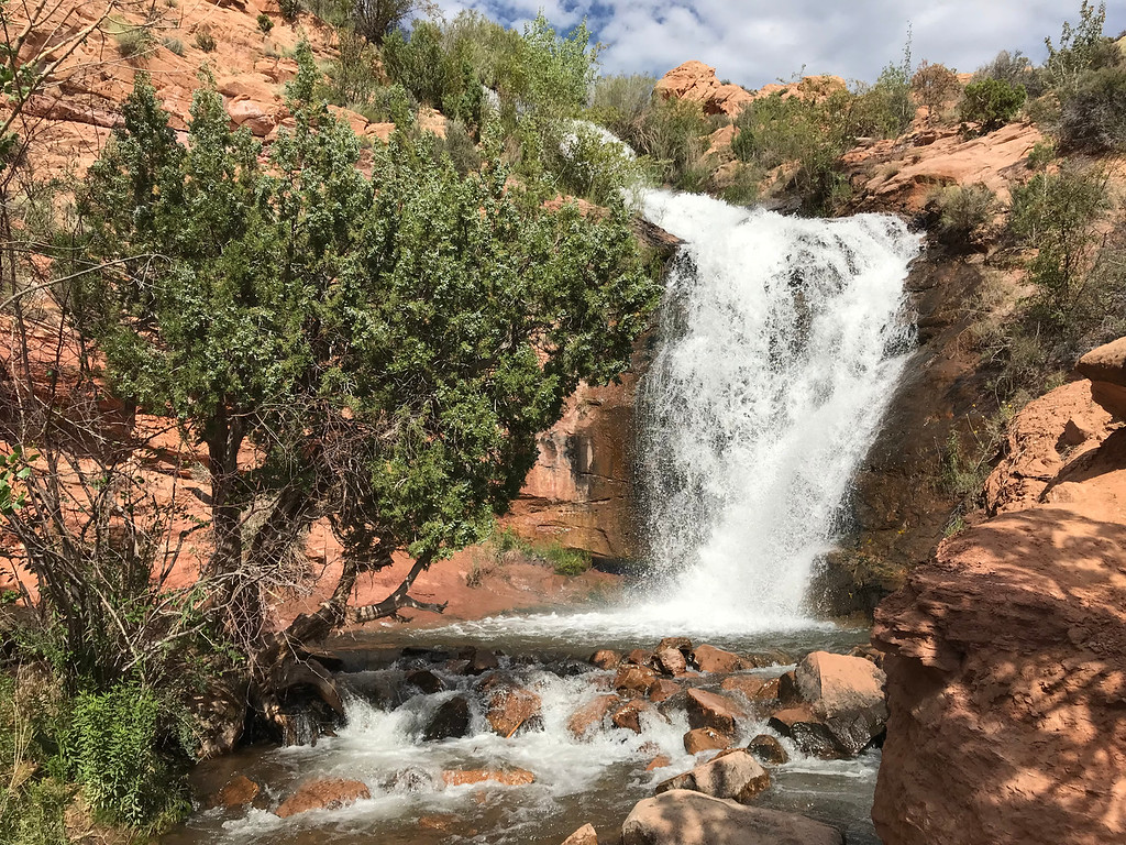 2019072611105884-IMG_4662-XL.jpg