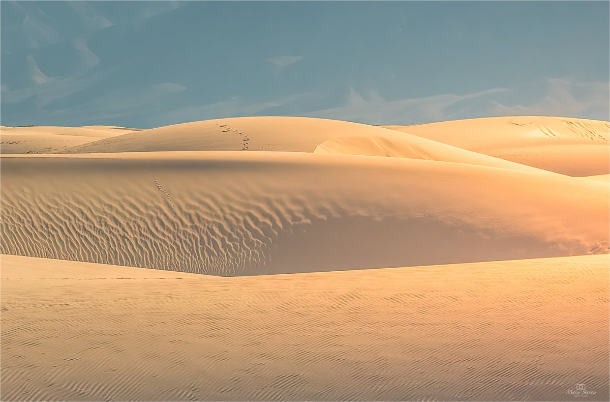 2019_whitesands_09_web.jpg