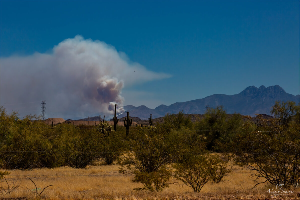 2020_bush_fire_08_web.jpg