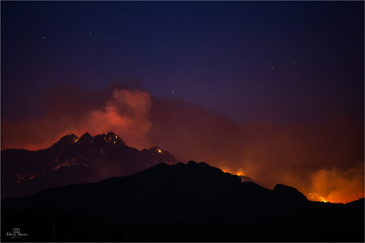 2020_bush_fire_11_web.jpg