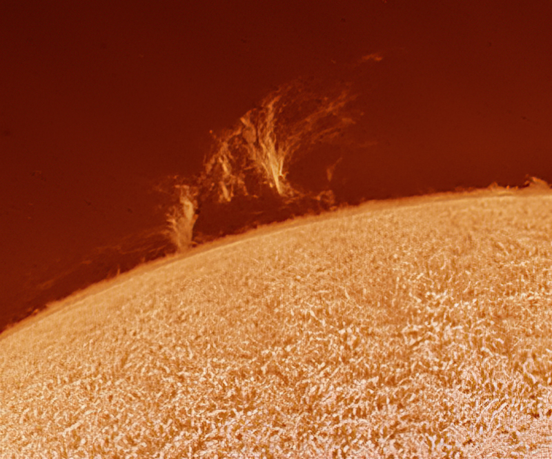 2022-08-09-1349_4-Sunco.jpg