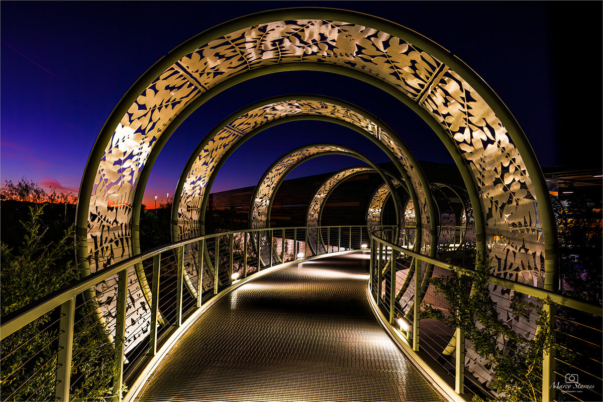 2022_nov_bridge_03_web.jpg