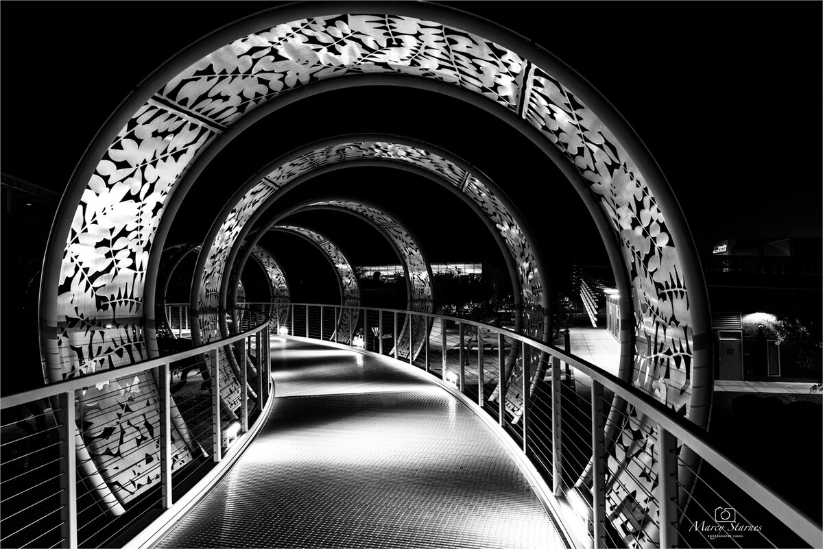2022_nov_bridge_04_web.jpg