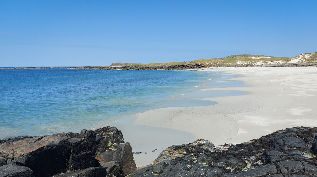 20230615_131057-1 copy.jpg