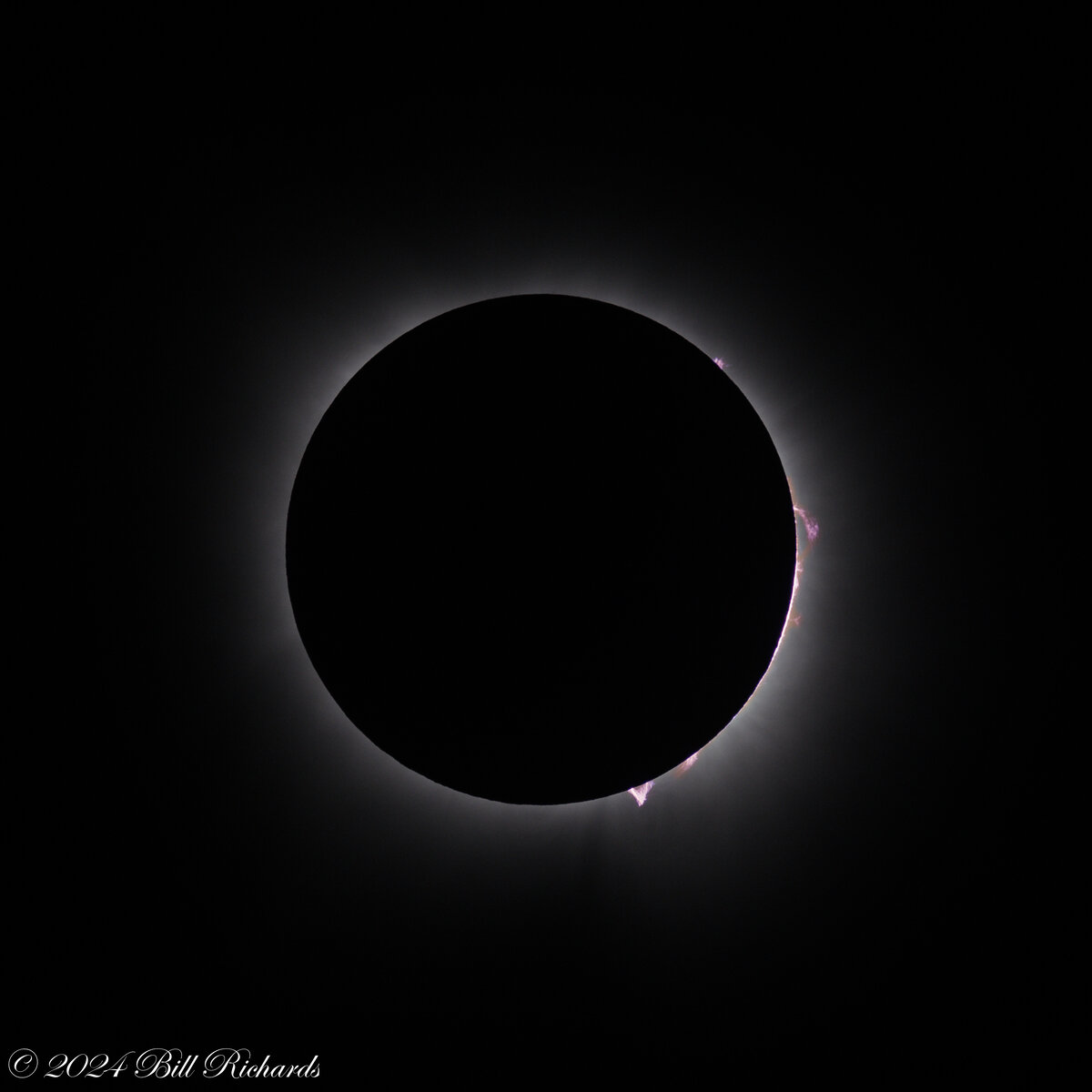 2024-04-08 Prominences at C3 (#422).jpg
