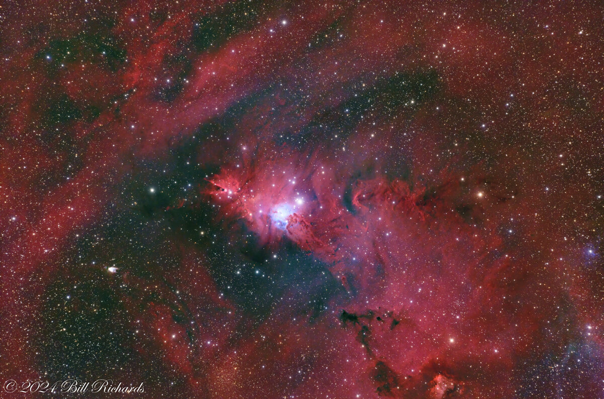 2024-12-01 Christmas Tree Cluster-NGC2264.jpg
