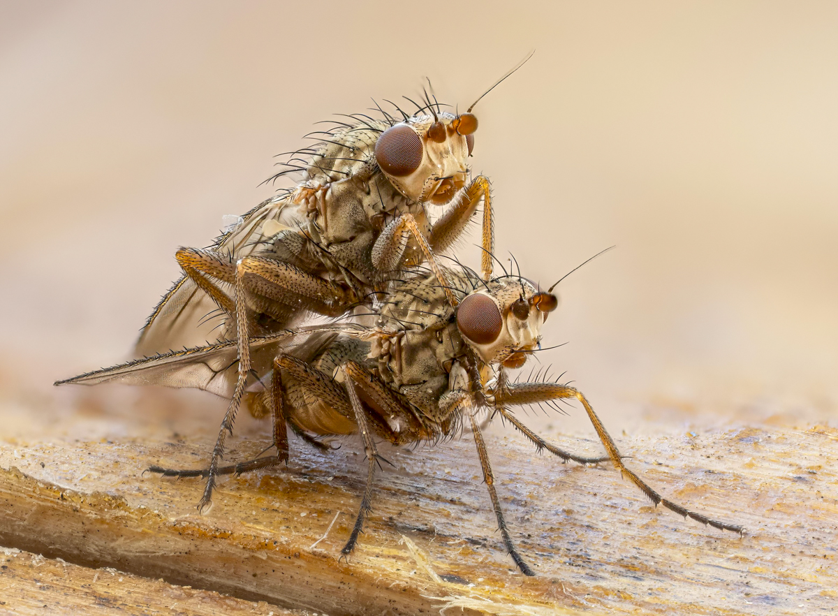 2025-05-11 19-44-14 (C,S3) retouch-Edit.jpg